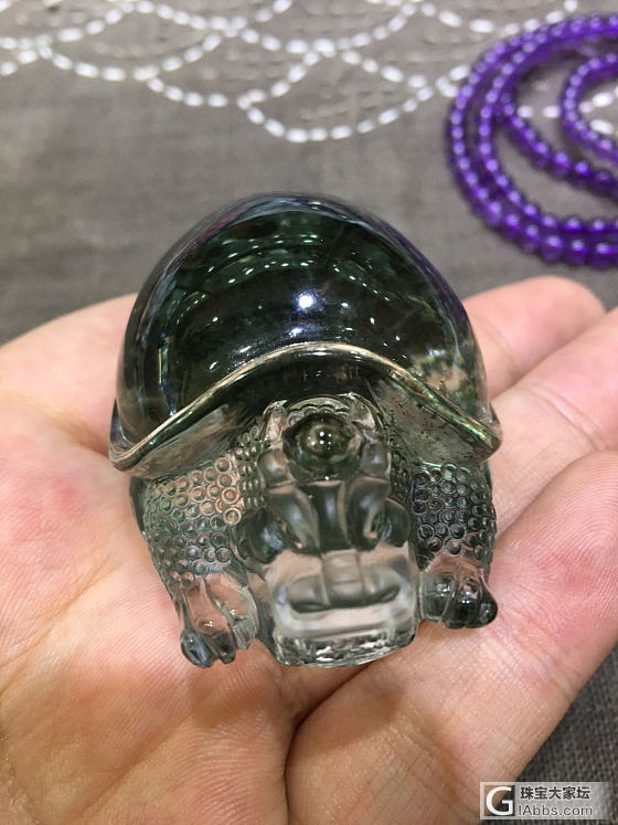 绿幽灵海龟_绿幽灵
