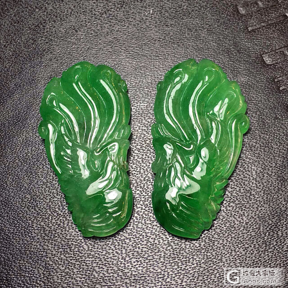 🐦中之王要怎么設計合適_翡翠