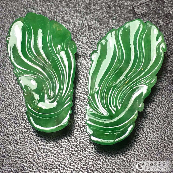 🐦中之王要怎么設計合適_翡翠