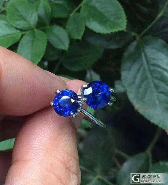 ##中颐天然无烧皇家蓝蓝宝石##  4.71ct 一对_蓝宝石中颐彩色宝石