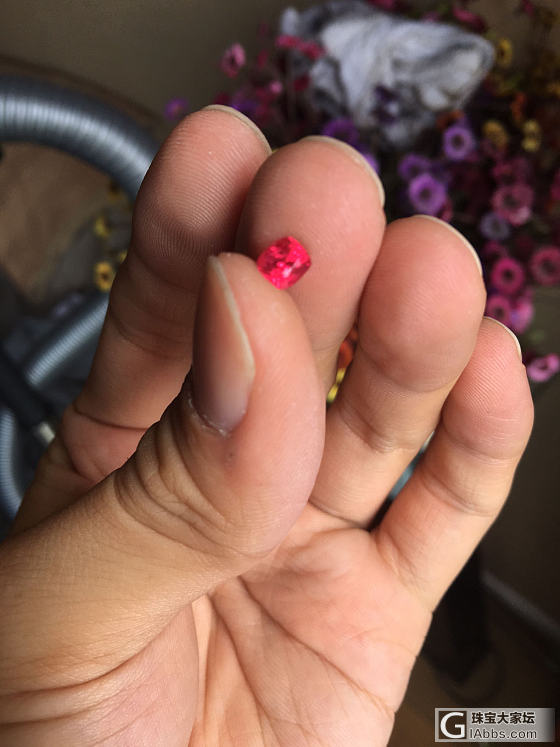 又来一个小家伙哦_刻面宝石尖晶石