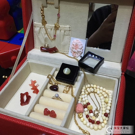 全是些小件的全家福_珊瑚
