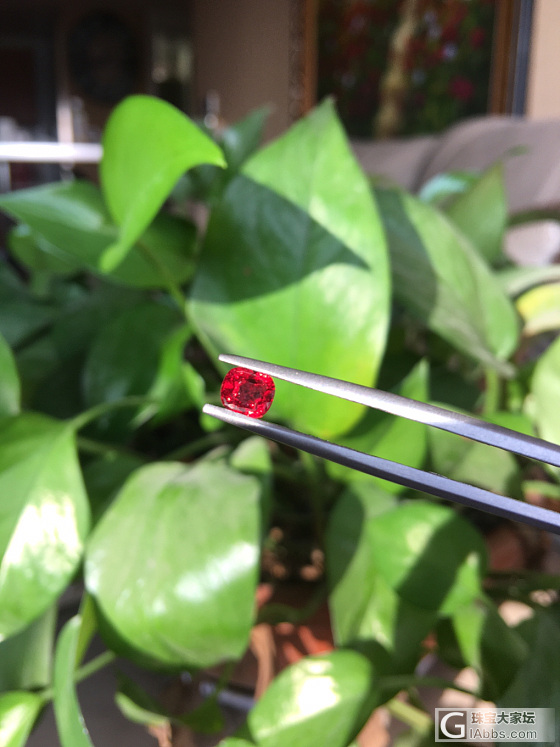 又来小家伙尖晶_刻面宝石尖晶石