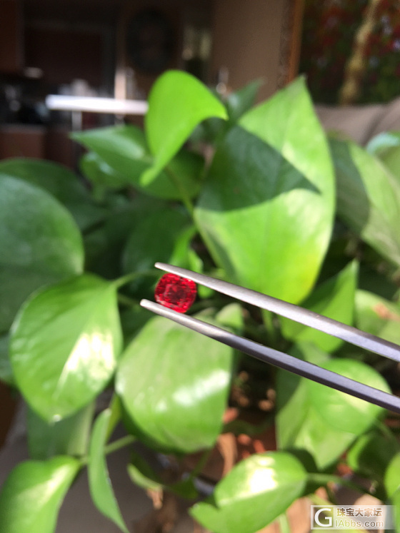 又来小家伙尖晶_刻面宝石尖晶石