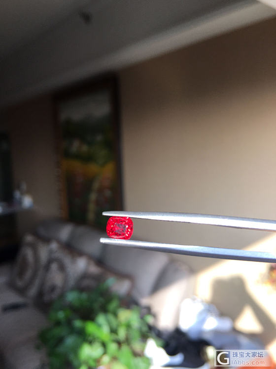 又来小家伙尖晶_刻面宝石尖晶石