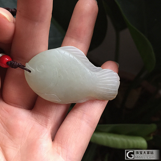 籽料小鱼儿    （今日特价  包顺丰）_青白玉