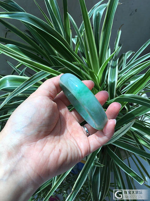 请大神们帮忙估一估_手镯翡翠