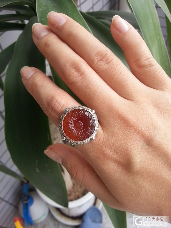 从新发布！925纯银花丝镶嵌珐琅饰品 红玛瑙 戒指_玛瑙戒指