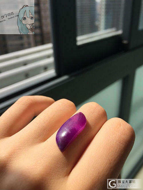 入坑尖晶，求补给~_舒俱来收藏