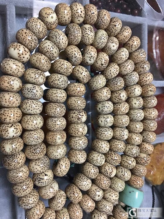 星月水个红包_菩提子