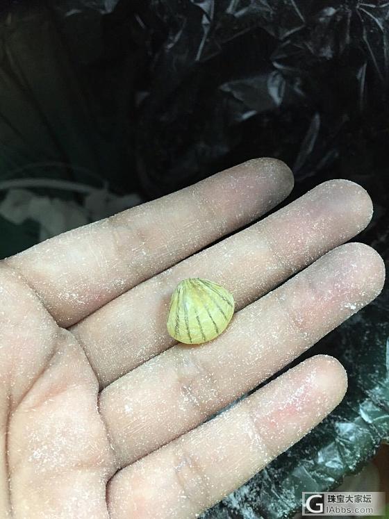 想学夹老师的贝壳，还是有相当的差距啊……_打磨蜜蜡