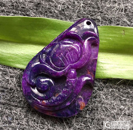 想入舒俱来，求推荐靠谱的店铺_舒俱来