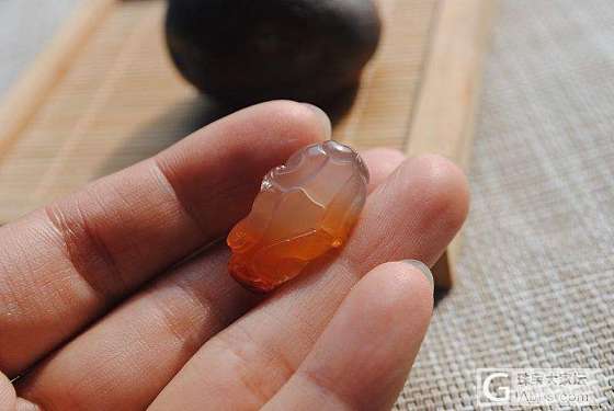 【雅知玉】两个南红貔貅。。。_南红