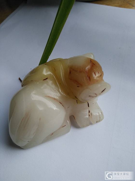 这是哪里的和田玉？_和田玉