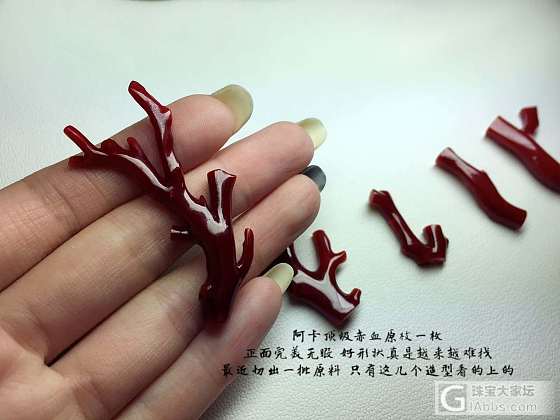 aka树枝_珊瑚