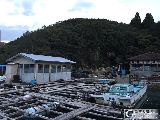 日本🇯🇵三重县志摩半島的英虞湾🗾Akoya珍珠养殖基地✨有我的自拍照_珍珠