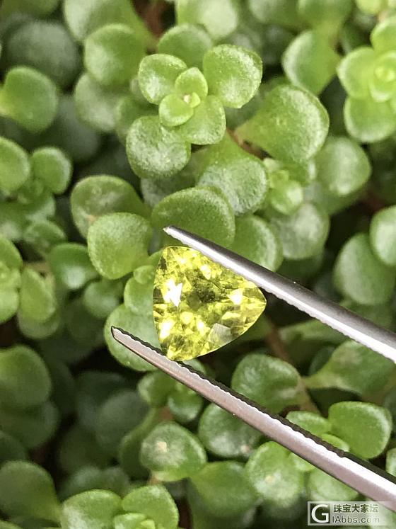 几颗斧石 常见色的和稀少颜色的_斧石