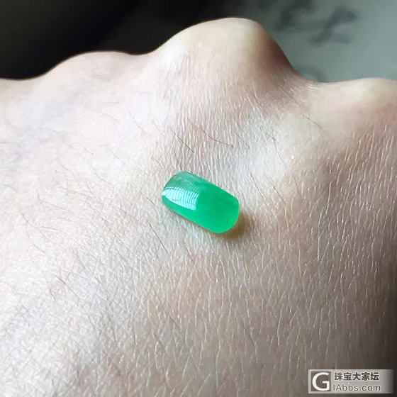 好冷，出来晒晒_蛋面