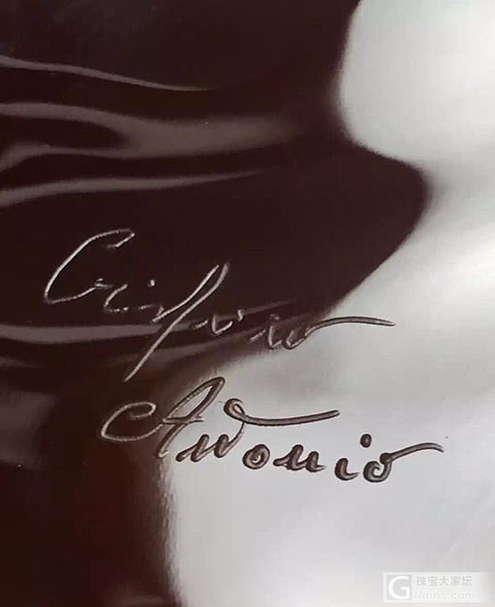 • top collection from master Crispino •_贝壳