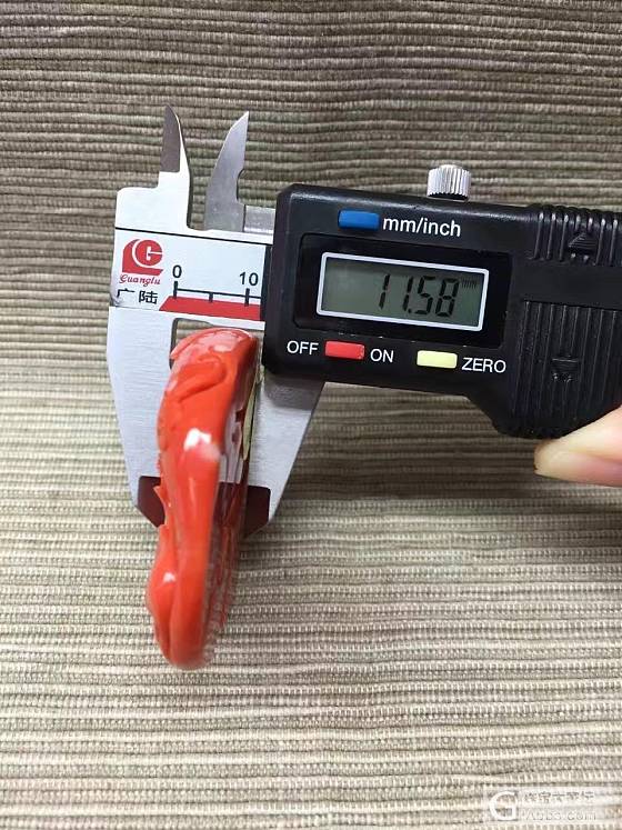 有喜欢的吗·看上的来探讨一下_珊瑚