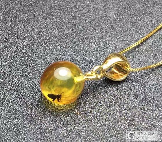 虫珀贴！现在虫珀现在的市场价是多少呢？_虫珀