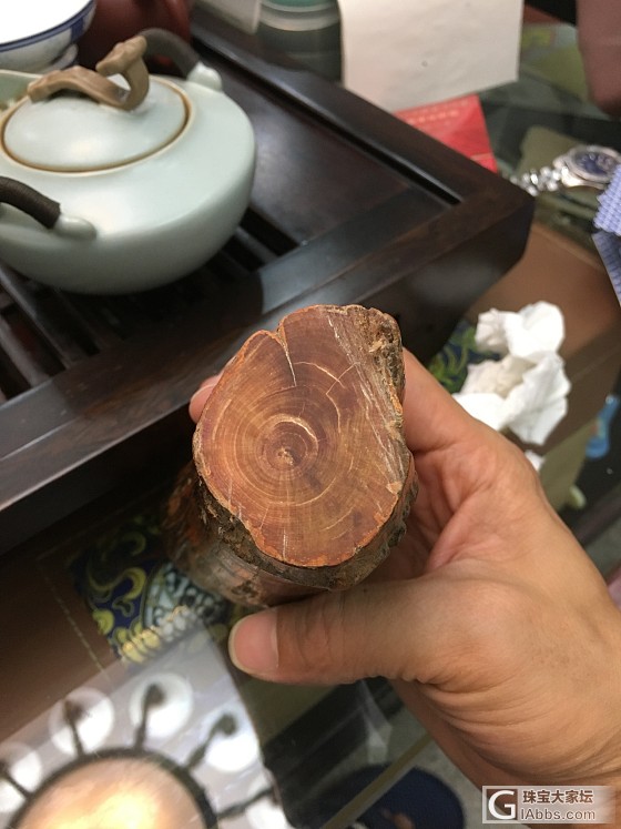 长白山带回家的_其他名木