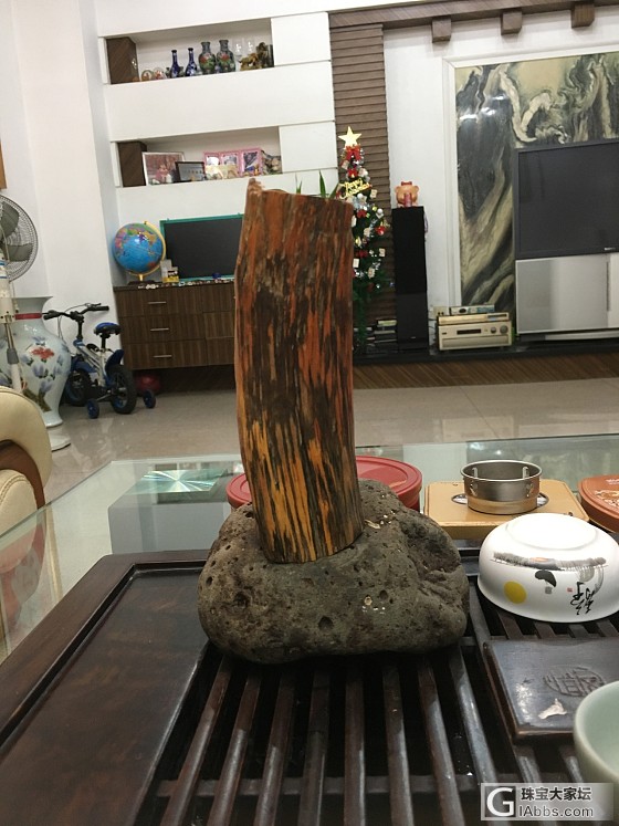 长白山带回家的_其他名木