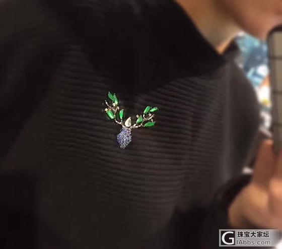 一变冷，我就能佩戴更多好看的胸针…_胸饰
