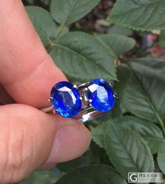 ##中颐天然皇家蓝蓝宝石一对##  6.49ct_刻面宝石蓝宝石中颐彩色宝石