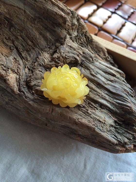 一波琥珀蜜蜡精工小件，萌萌哒！_琥珀蜜蜡