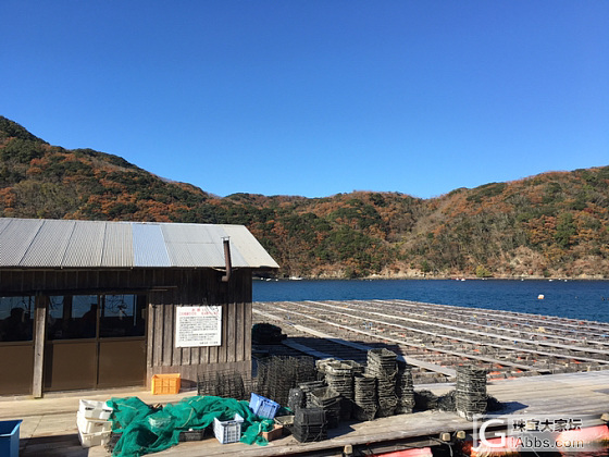 日本Akoya珍珠养殖基地- Akoya珍珠是在这么纯净的海水中成长出来的✨_珍珠日本产地