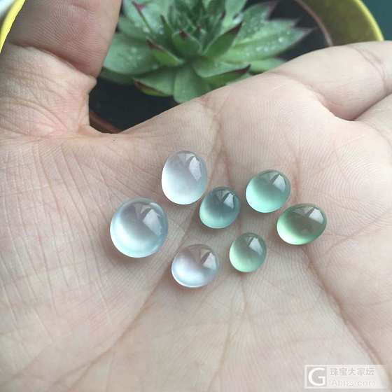 晒晒近期的收获—翡翠篇1_蛋面翡翠