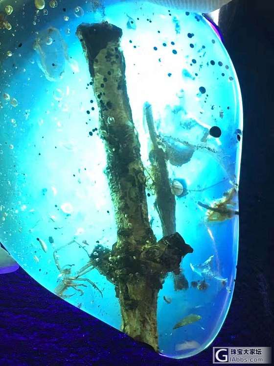 特色珀_琥珀