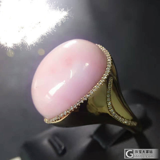 珊瑚戒指_戒指珊瑚