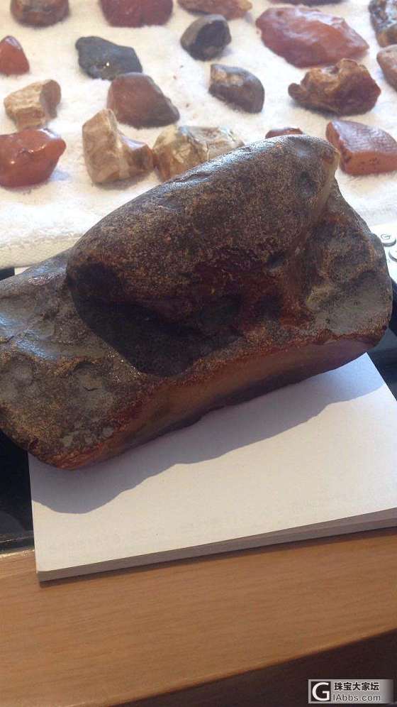 松岗琥珀_琥珀