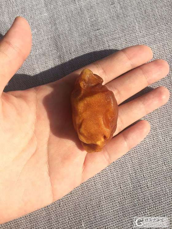 为还卡债，狠心出心头好丹麦精品原石_琥珀原石