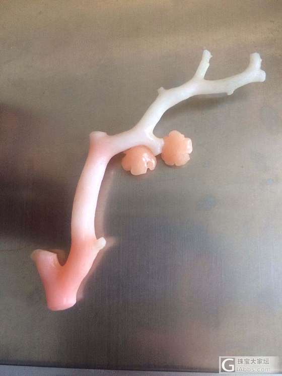 未抛光的莫莫原枝_珊瑚