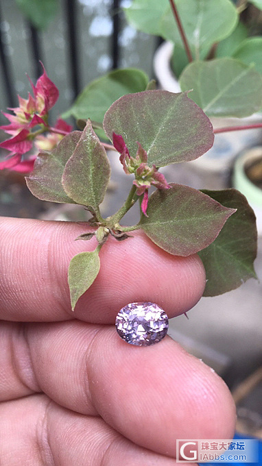 淡紫色2.26克拉💍_刻面宝石尖晶石
