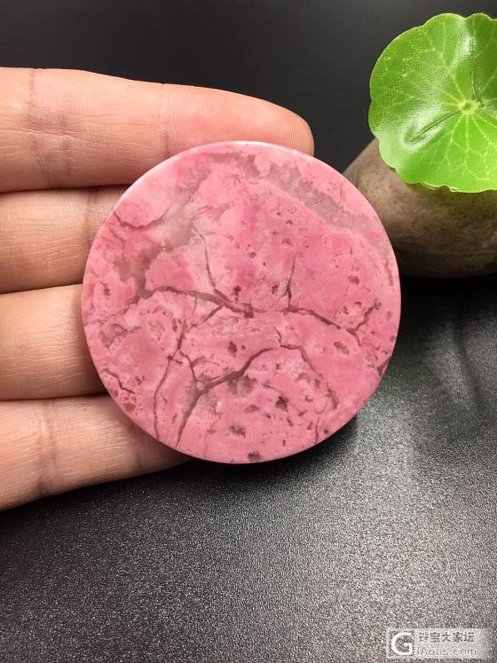 樱花落满天_舒俱来