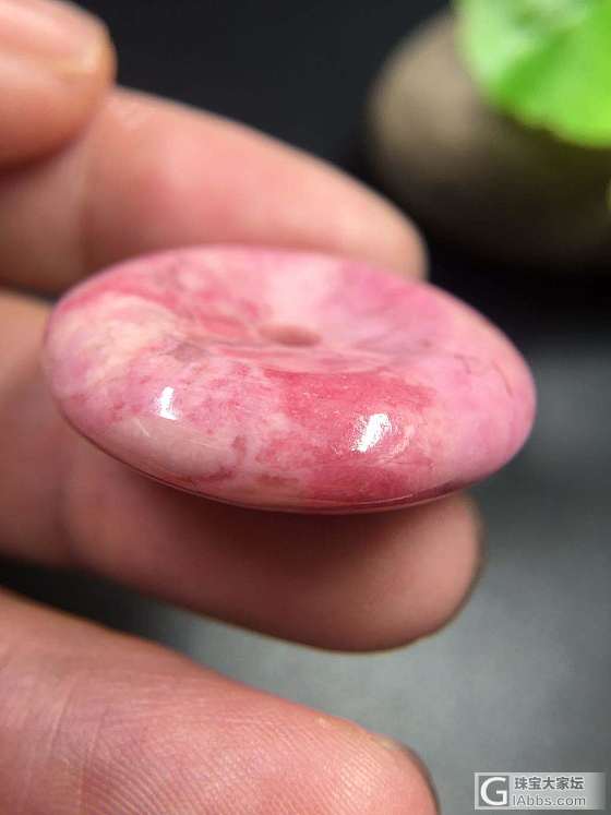 樱花落满天_舒俱来