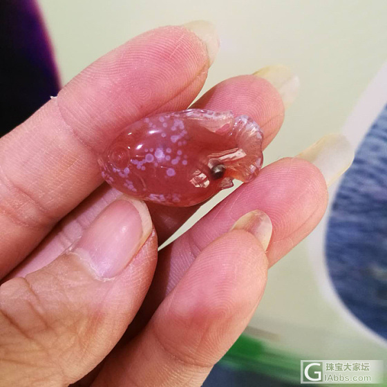 美美的小鱼_玉髓玛瑙