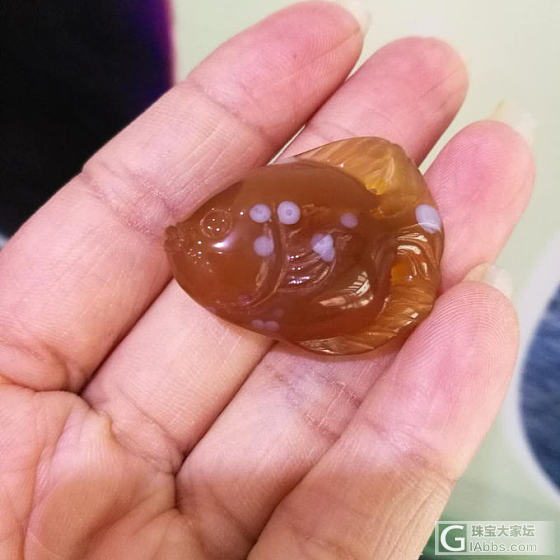 美美的小鱼_玉髓玛瑙