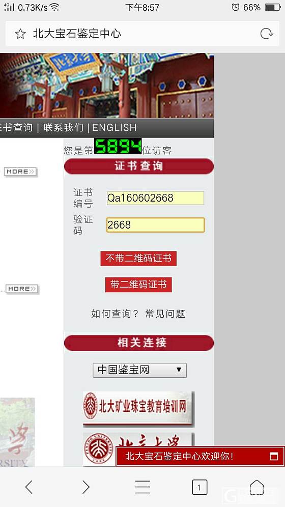 麻烦帮忙看看这个是不是A的_耳坠翡翠