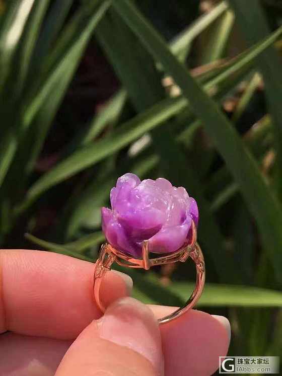 舒具来_舒俱来戒指