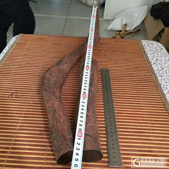 再赌海黄老料，这回赌大了_海南黄花梨