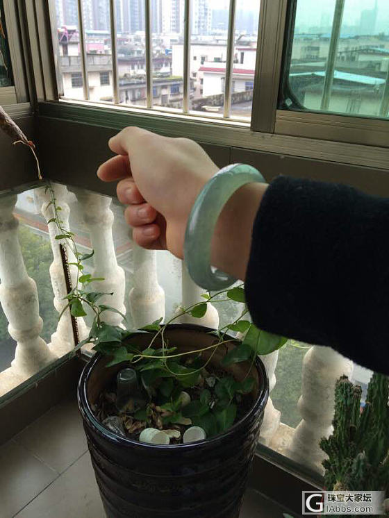 过年了，在翡翠市场的你回家了吗？_翡翠手镯