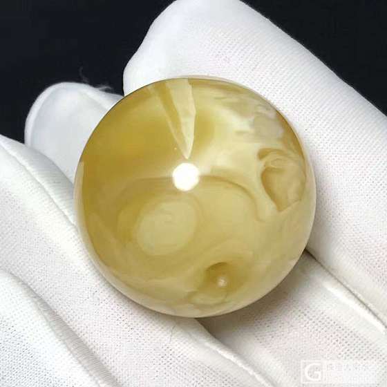 欣赏大猪猪们_蜜蜡配件