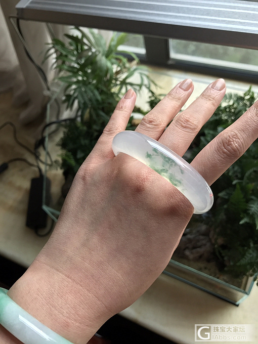 集中火力收了只梦想中的飘花_手镯翡翠