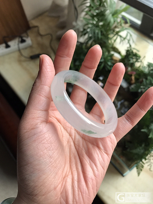 集中火力收了只梦想中的飘花_手镯翡翠