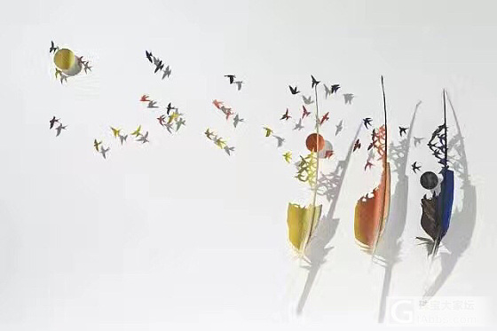 专注，羽毛经过雕刻也可以重新找回生命。_雕刻